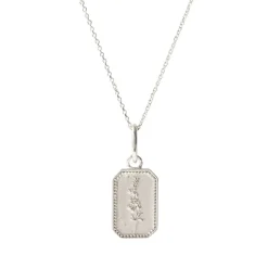 FRAICHE JULY BIRTH FLOWER NECKLACE - LARKSPUR - SILVER
