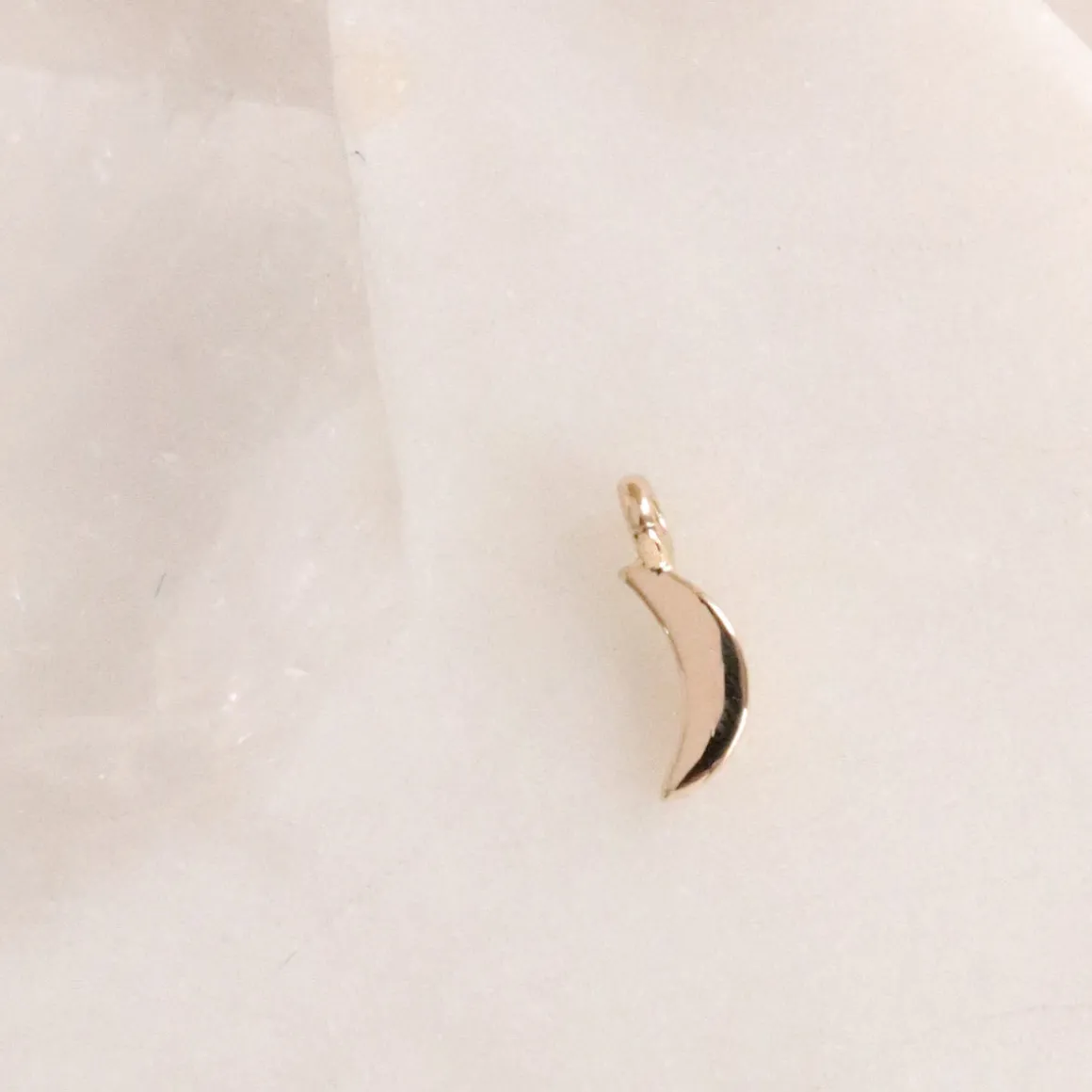14K SOLID GOLD - DREAM LUNA NAMESAKE CHARM